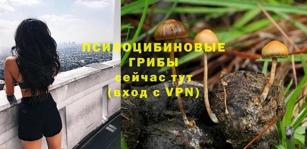 стафф Армянск