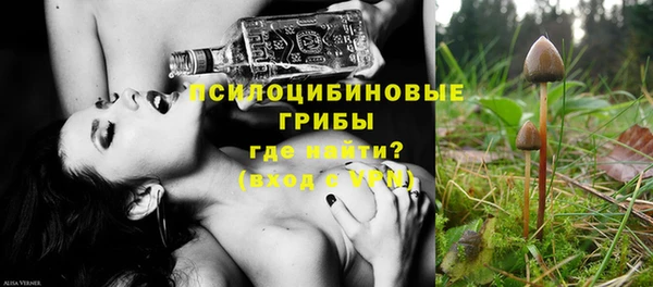 дурь Аркадак