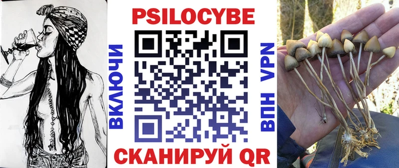 где купить   Карабаш  Псилоцибиновые грибы Psilocybine cubensis 